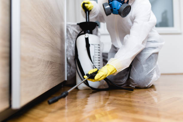 Best Wildlife Control Services  in Patterson, LA