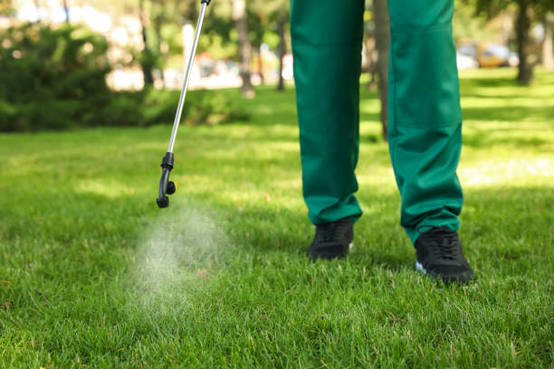 Best Termite Control Services  in Patterson, LA
