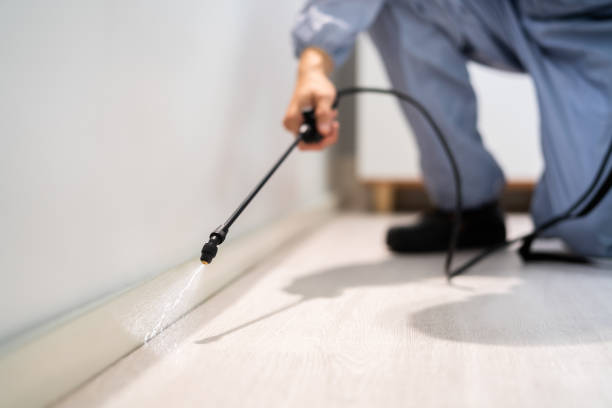 Professional Pest Control in Patterson, LA