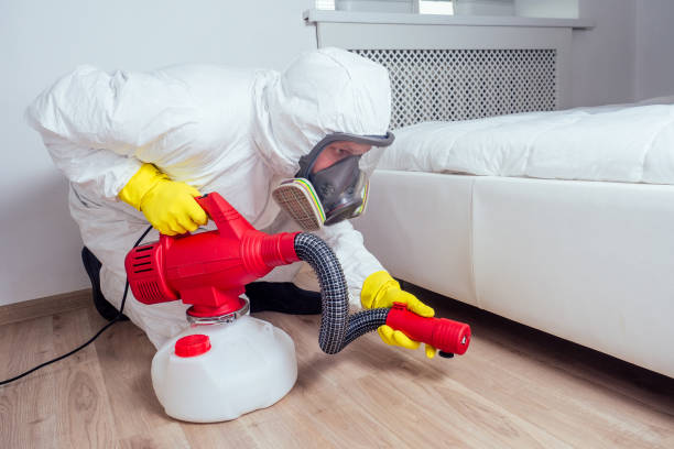 Best Local Pest Control Services  in Patterson, LA