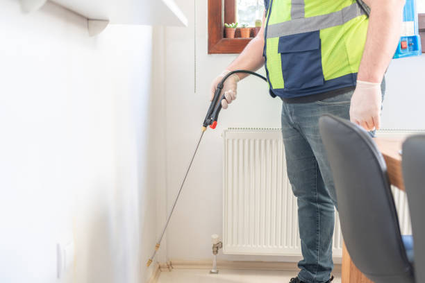 Best Pest Prevention Services  in Patterson, LA