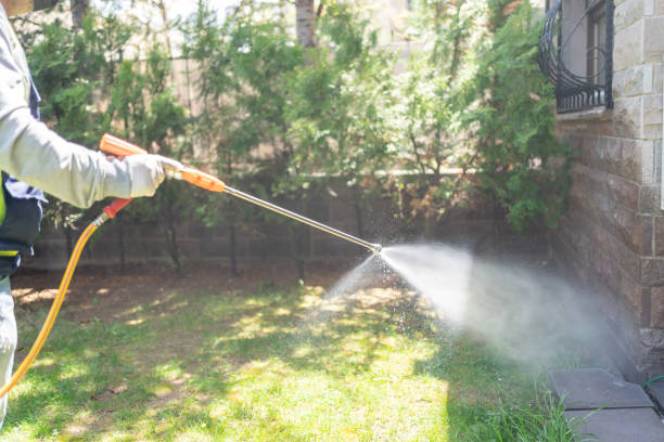 Best Best Pest Control Companies  in Patterson, LA