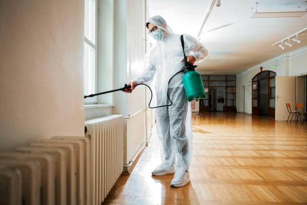 Best Exterminator Services  in Patterson, LA